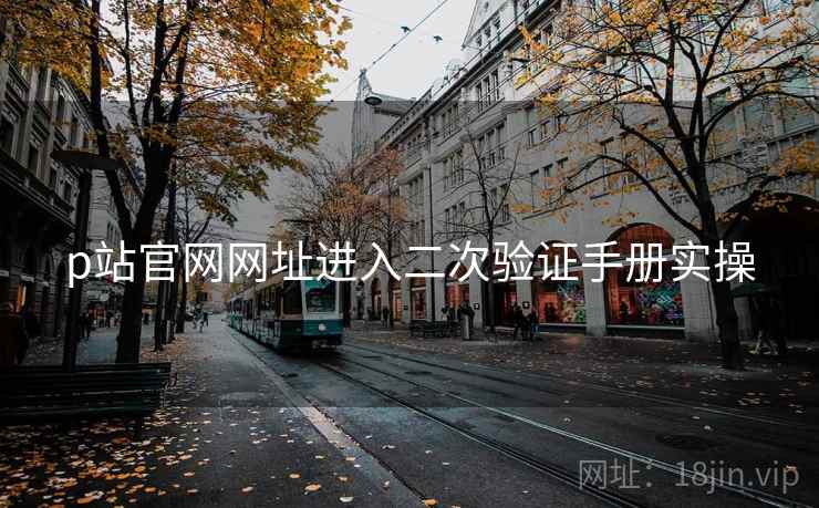p站官网网址进入二次验证手册实操