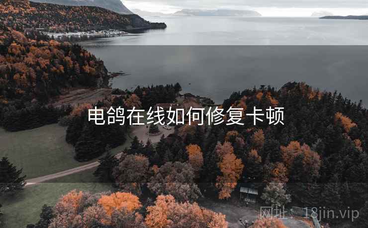 电鸽在线如何修复卡顿