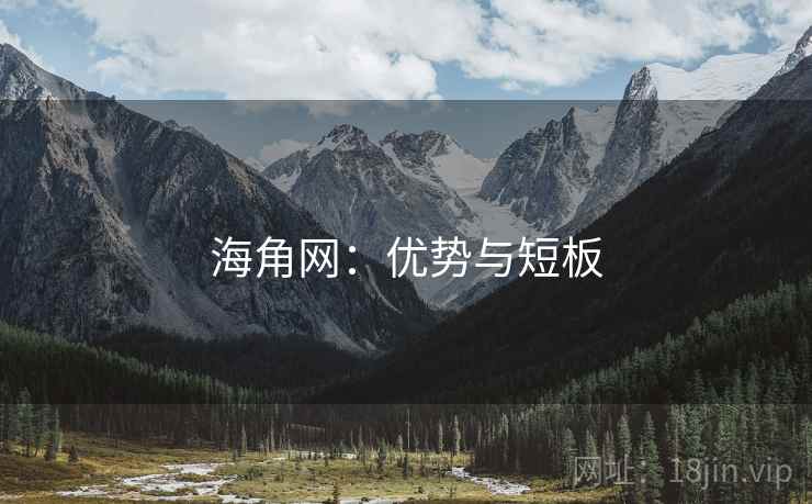 海角网：优势与短板
