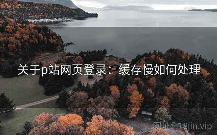 关于p站网页登录：缓存慢如何处理