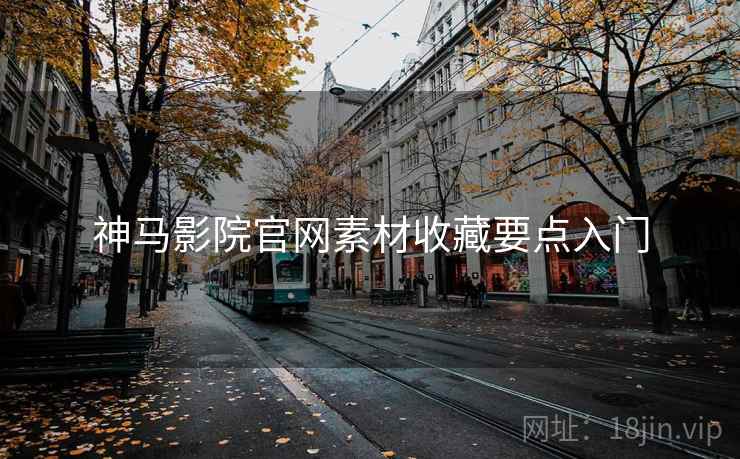 神马影院官网素材收藏要点入门