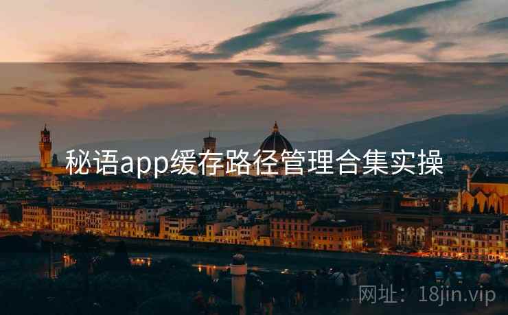 秘语app缓存路径管理合集实操