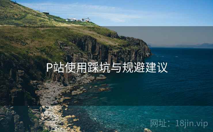 P站使用踩坑与规避建议