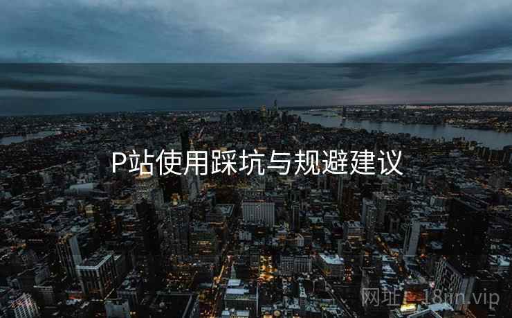 P站使用踩坑与规避建议