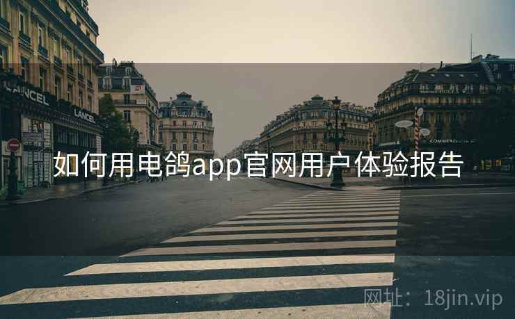 如何用电鸽app官网用户体验报告