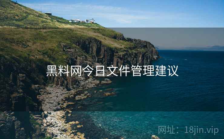 黑料网今日文件管理建议