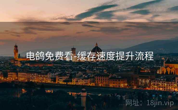 电鸽免费看-缓存速度提升流程