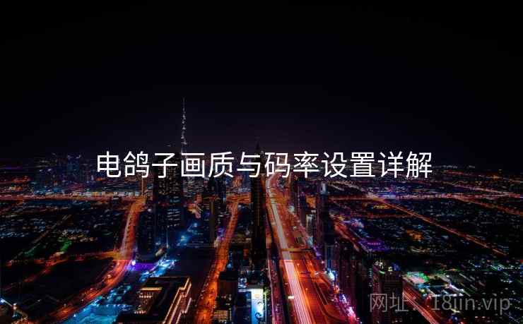 电鸽子画质与码率设置详解