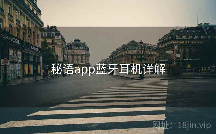 秘语app蓝牙耳机详解