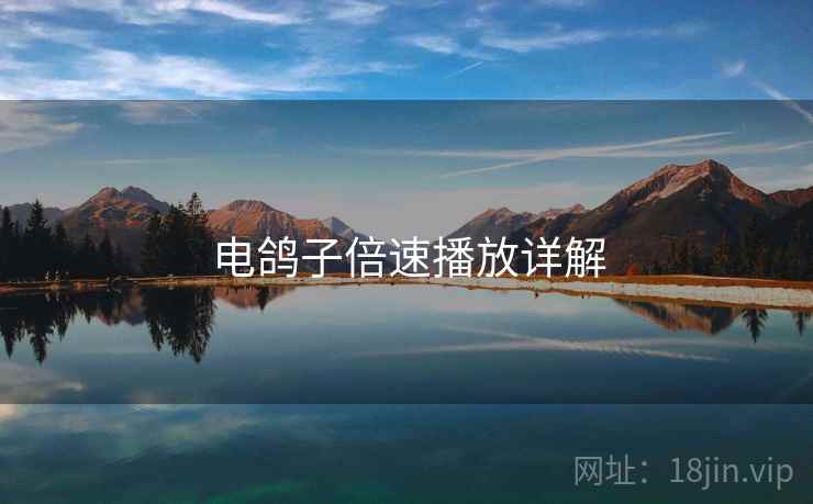电鸽子倍速播放详解