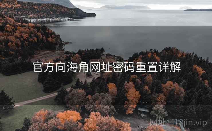 官方向海角网址密码重置详解
