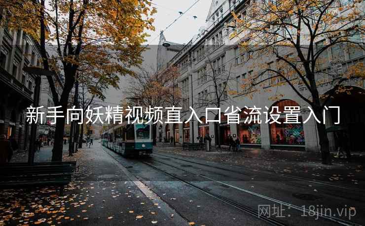 新手向妖精视频直入口省流设置入门