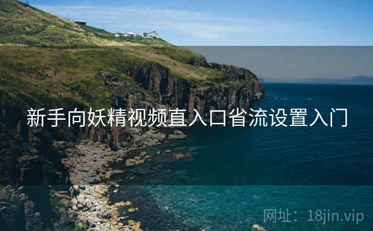 新手向妖精视频直入口省流设置入门