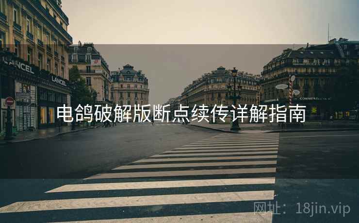 电鸽破解版断点续传详解指南