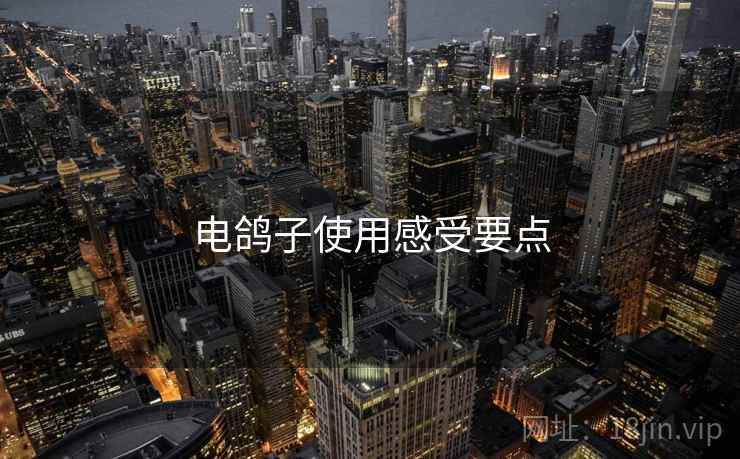 电鸽子使用感受要点