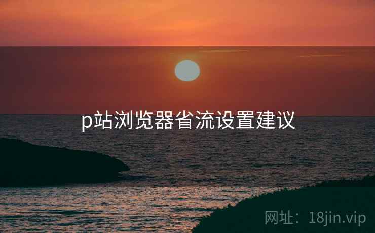 p站浏览器省流设置建议