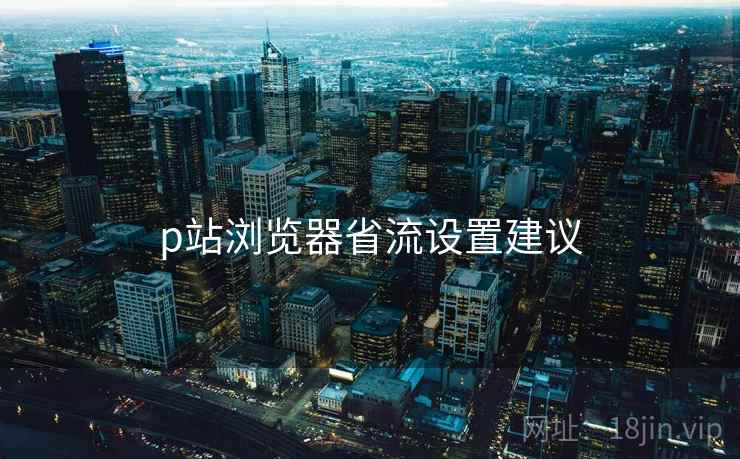p站浏览器省流设置建议