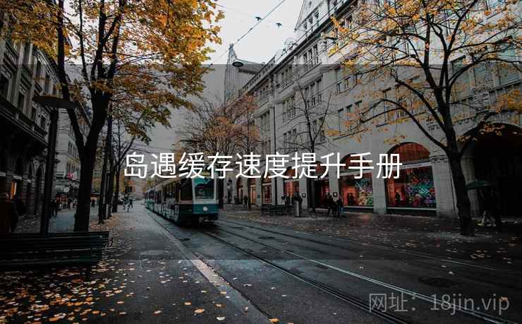 岛遇缓存速度提升手册