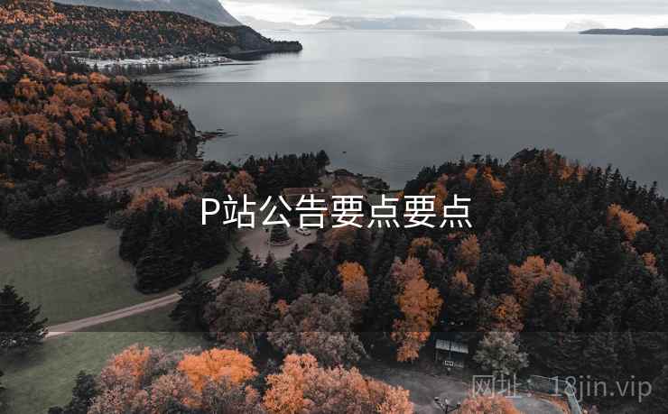 P站公告要点要点
