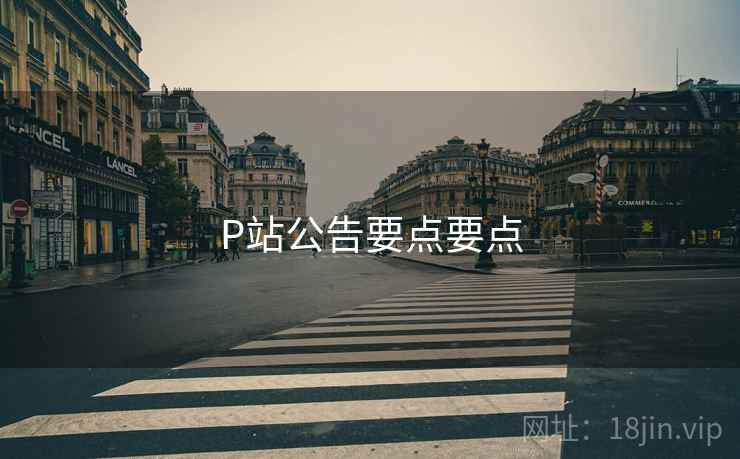 P站公告要点要点
