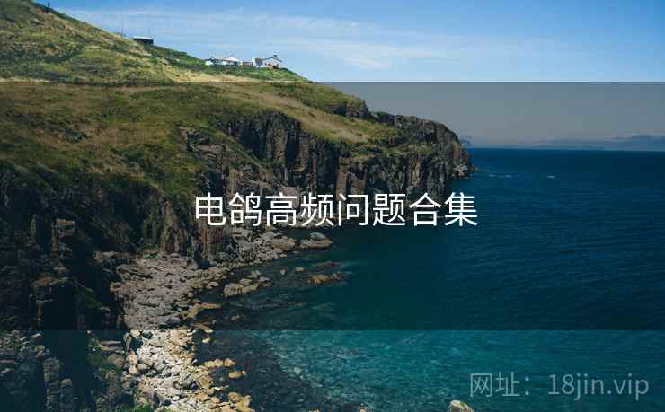 电鸽高频问题合集 电鸽高频问题合集