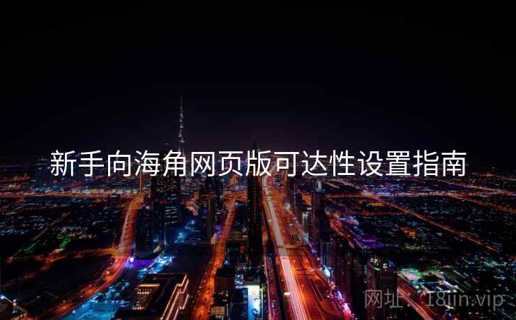 新手向海角网页版可达性设置指南 新手向海角网页版可达性设置指南