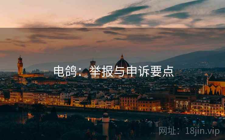 电鸽:举报与申诉要点 电鸽:举报与申诉要点