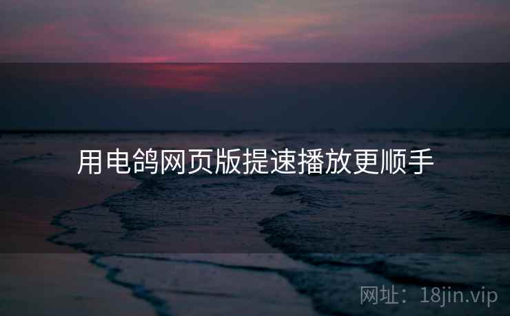 用电鸽网页版提速播放更顺手