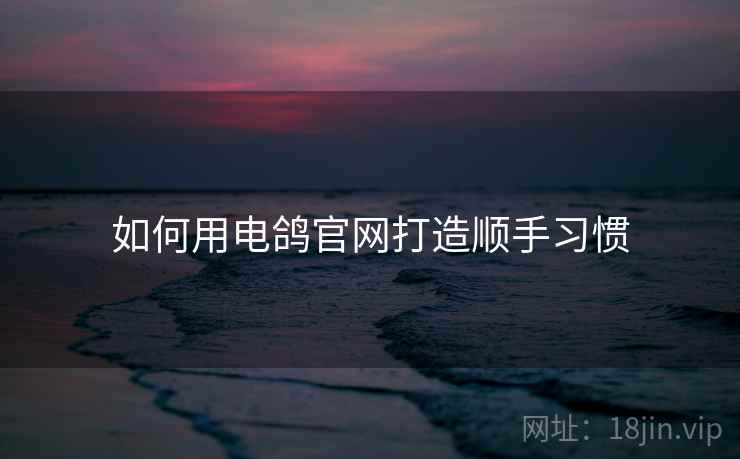 如何用电鸽官网打造顺手习惯