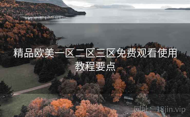 精品欧美一区二区三区免费观看使用教程要点