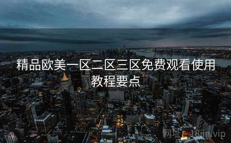 精品欧美一区二区三区免费观看使用教程要点