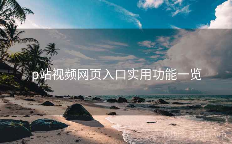p站视频网页入口实用功能一览