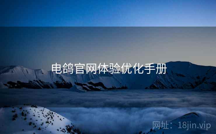 电鸽官网体验优化手册