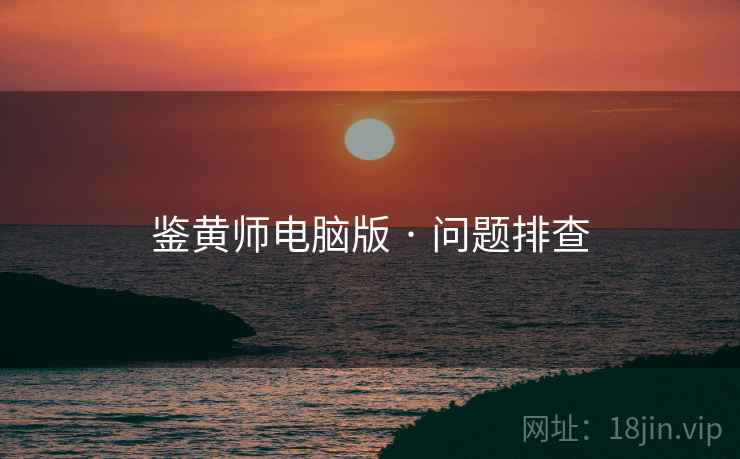 鉴黄师电脑版 · 问题排查
